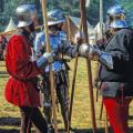 Les manisfestations, publiques ou privées auxquelles le Rozier des Guerres a participé.